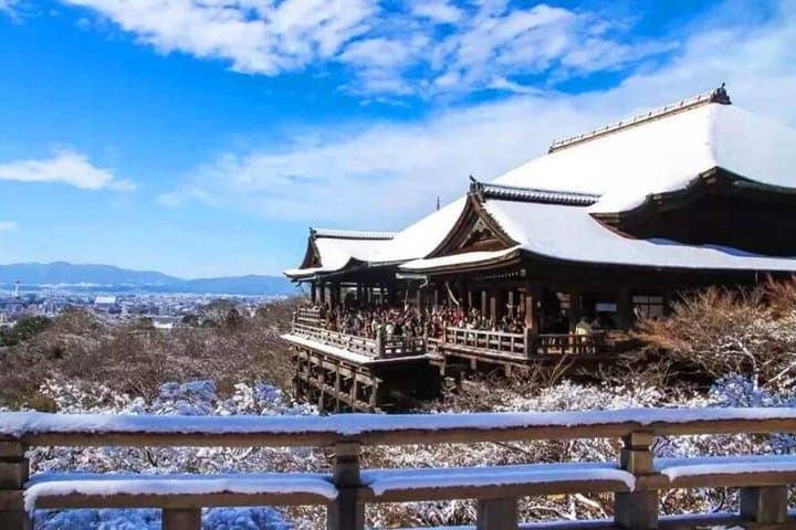Golden Pavilion Kiyomizu Temple and Fushimi Inari Shrine Tour — photo 9