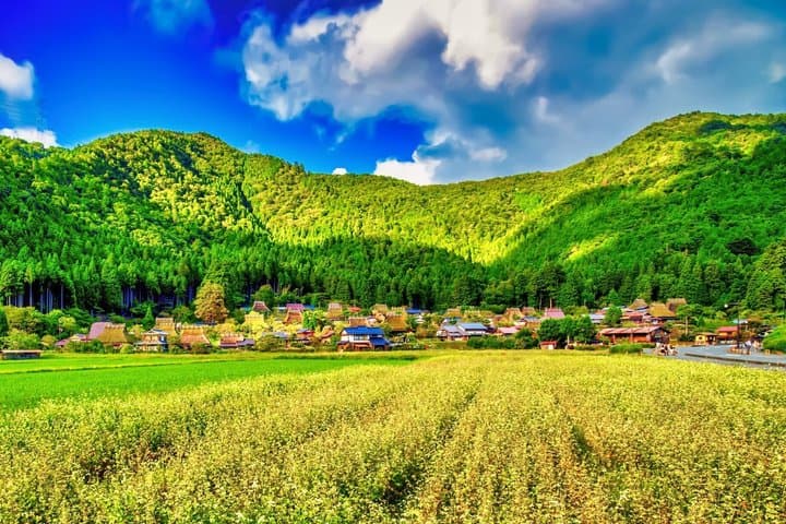 Amanohashidate and Miyama Day Tour With Lunch — photo 11