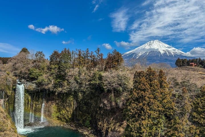 Mt Fuji World Heritage Private Tour by Bullet Train and Car — photo 2