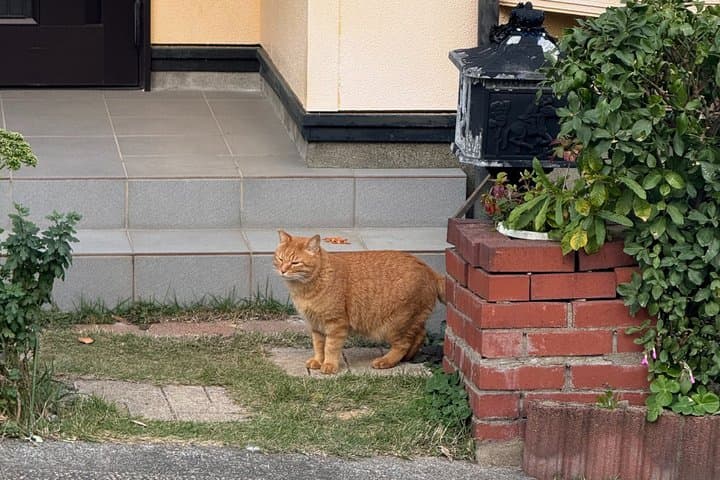 Steam-filled Streets: A Scenic Stroll in Kannawa — photo 16