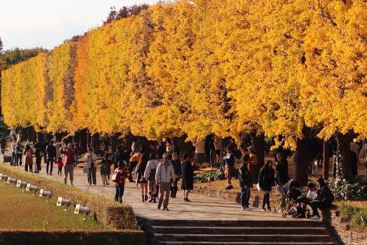 Tokyo Private Customized Walking tours with Local guide — photo 15