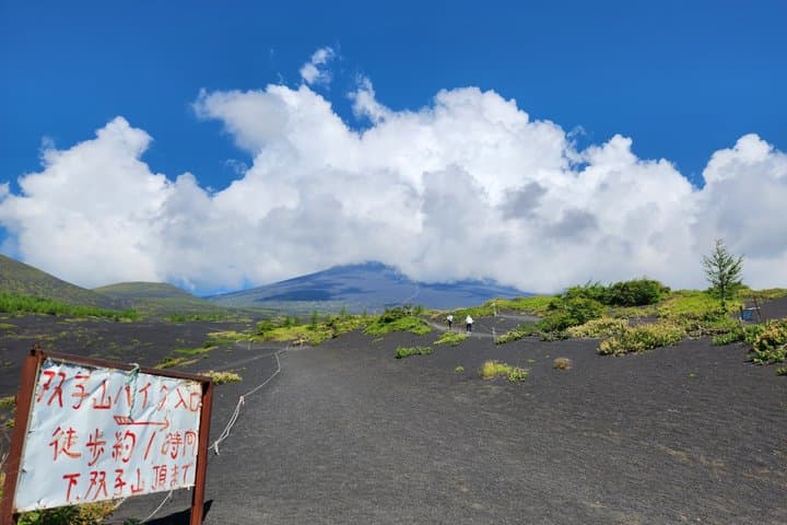 Touch Mt. Fuji at the 5th Station from Shimizu Port — photo 5