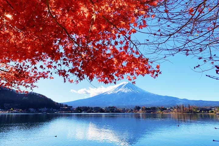 Mt Fuji/Lake Kawaguchi 1 day 18/45 seater customize Private Tour — photo 7