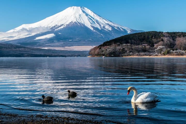 Mt Fuji/Lake Kawaguchi 1 day 18/45 seater customize Private Tour — photo 6