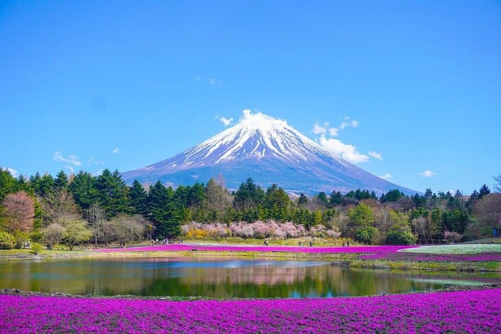 Mt Fuji/Lake Kawaguchi 1 day 18/45 seater customize Private Tour — photo 2
