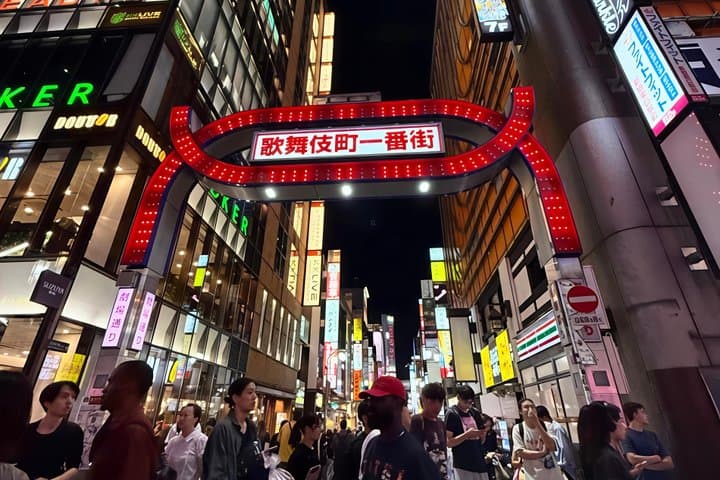 Tokyo Night Tour&Yakatabune Cruise,Sukiyaki,Shamisen&Tokyo Tower — photo 4