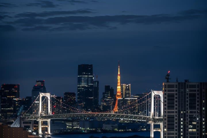 Tokyo Night Tour&Yakatabune Cruise,Sukiyaki,Shamisen&Tokyo Tower — photo 2