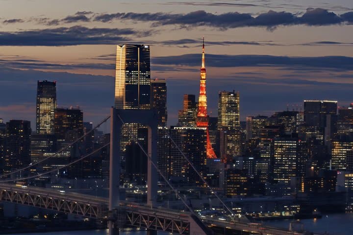 Tokyo Night Tour&Yakatabune Cruise,Sukiyaki,Shamisen&Tokyo Tower — photo 11