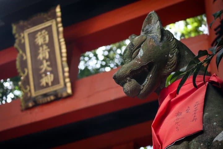 Fushimi Inari Hidden Hiking Tour (Private Option Available) — photo 9