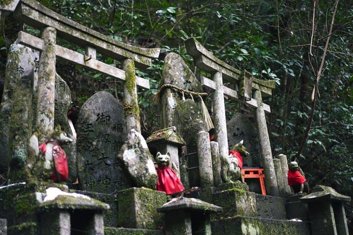 Fushimi Inari Hidden Hiking Tour (Private Option Available) — photo 6
