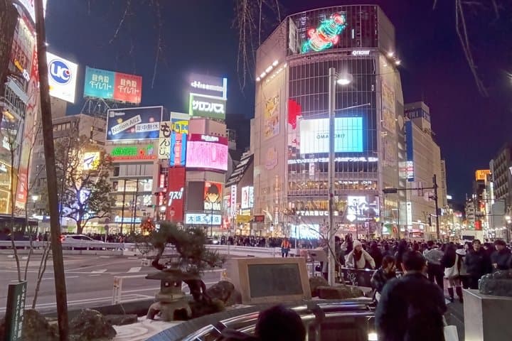 Authentic Tokyo Walking Experience: Hidden Streets & Local Life — photo 12
