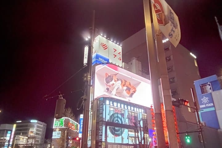 Authentic Tokyo Walking Experience: Hidden Streets & Local Life — photo 17