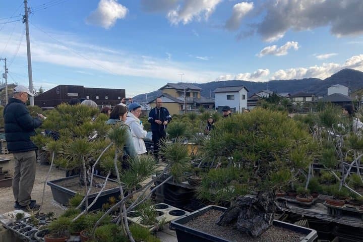 Kagawa Bonsai Private Tour (Kandaka Shojuen or Kitadani Yoseien) — photo 3