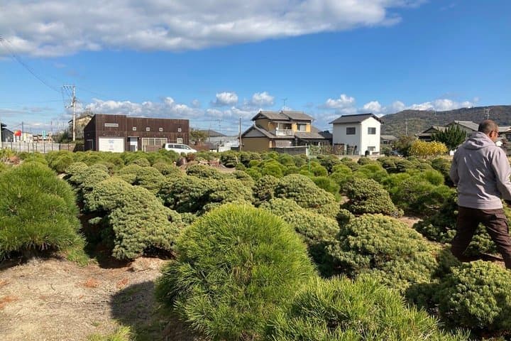 Kagawa Bonsai Private Tour (Kandaka Shojuen or Kitadani Yoseien) — photo 2
