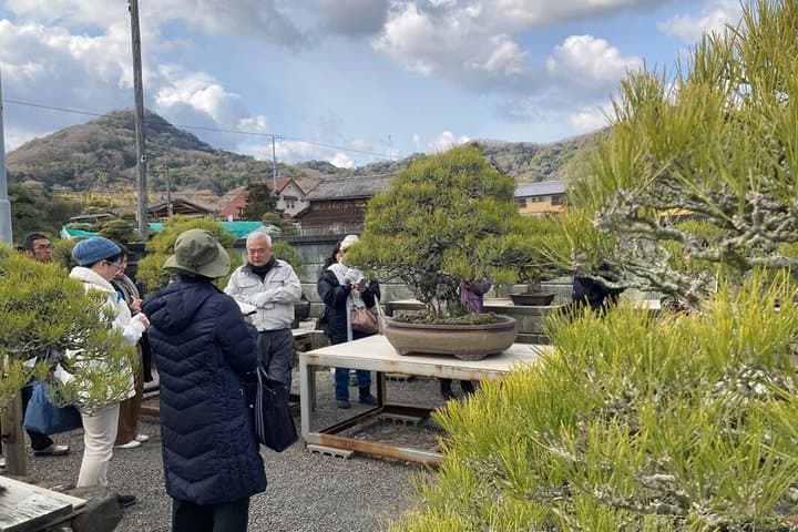 Kagawa Bonsai Private Tour (Kandaka Shojuen or Kitadani Yoseien) — photo 6