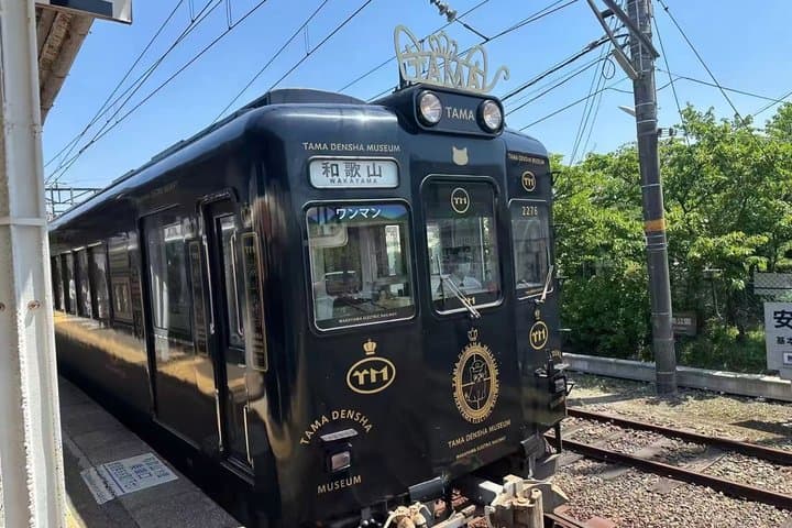 Classic One Day Tour from Kansai to Wakayama Prefecture — photo 2