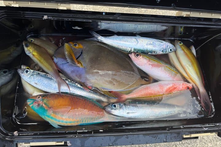Fishing Tour with local fisherman and bilingual guide — photo 9