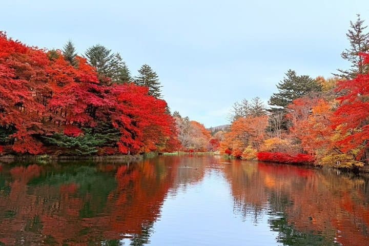 Tokyo: Karuizawa, Kawagoe & Hoshino Resort Shrine Day Tour — photo 14