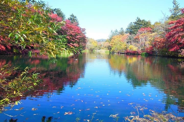 Tokyo: Karuizawa, Kawagoe & Hoshino Resort Shrine Day Tour — photo 6