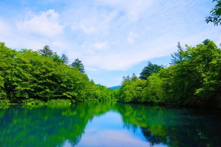 Tokyo: Karuizawa, Kawagoe & Hoshino Resort Shrine Day Tour — photo 10