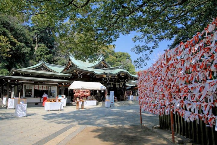 Tokyo Bus Day Trip Kamakura, Enoshima, and Yokohama Tour — photo 6