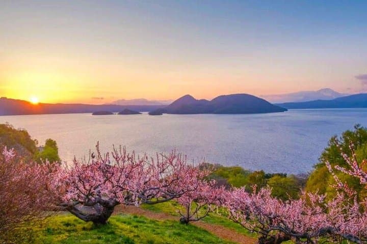 Lake Toya Noboribetsu Jigokudani and Bear Park Day Trip — photo 4