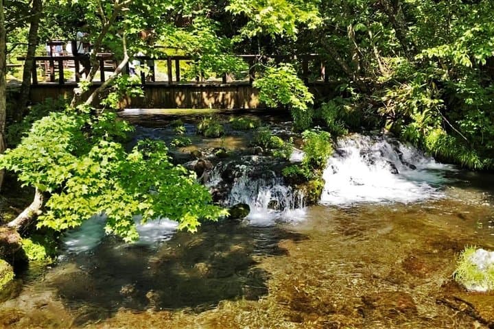 Lake Toya Noboribetsu Jigokudani and Bear Park Day Trip — photo 10