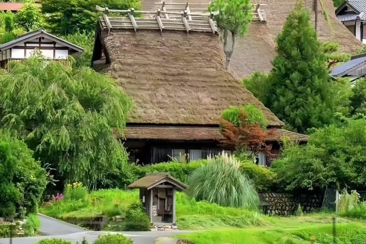 Kyoto Seaside Day Tour — photo 4