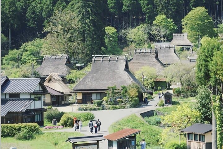 Kyoto Seaside Day Tour — photo 5
