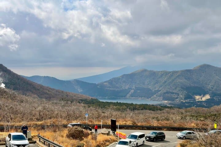 Hakone in One Day: Private Car Tour with Onsen & Mt. Fuji Views — photo 8