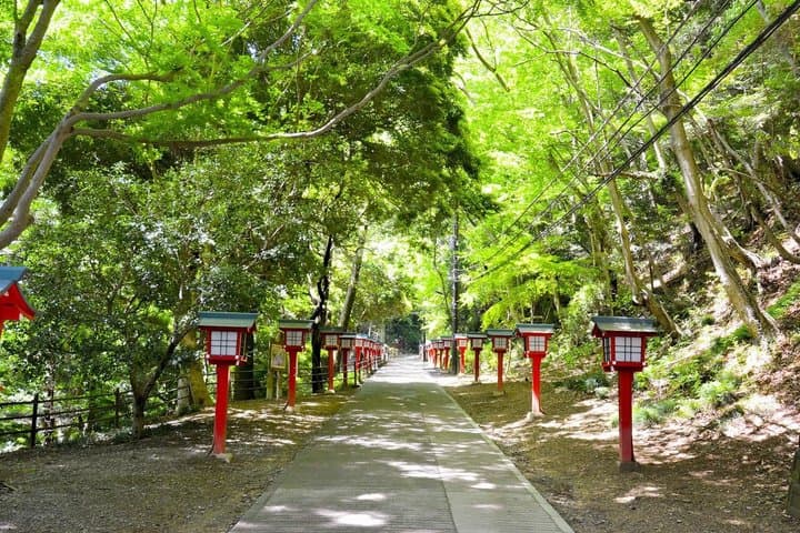 Mount Takao Spiritual Experience with Monk and Ukai Toriyama — photo 9