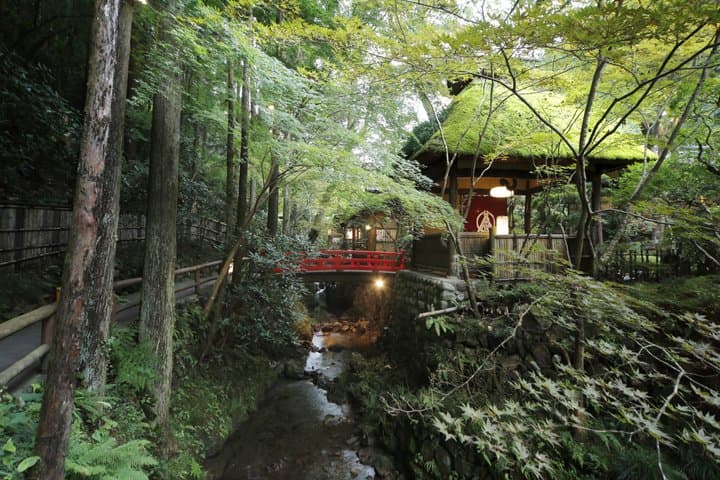 Mount Takao Spiritual Experience with Monk and Ukai Toriyama — photo 13