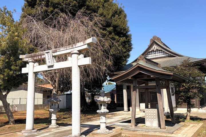 Narita Layover Tour – Japanese Home, Shrine Walk & Sake Brewery — photo 6