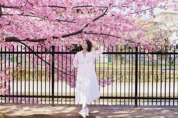 Cinematic Photoshoot in Kyoto, Arashiyama, and Osaka — photo 1