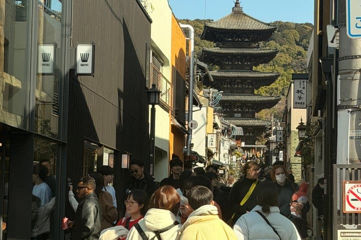 Kyoto & Nara Private Customized Tour with English Speaking Guide — photo 9