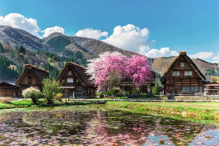 Shirakawago Takayama and Gujo Hachiman Day Tour from Nagoya