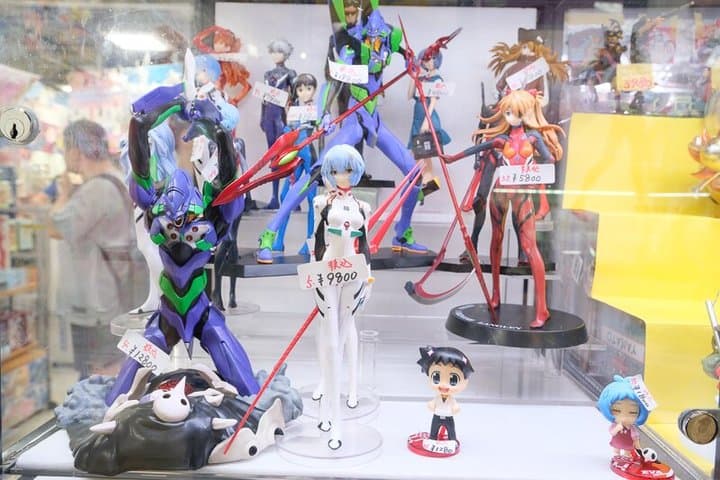 Private Tokyo Anime Tour: Akihabara, Nakano Broadway & Odaiba — photo 9