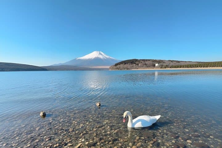 Lake Ashi Owakudani and Shrine Visit Mount Fuji Hakone Tour — photo 8