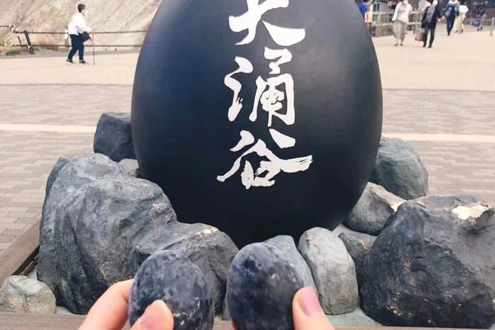 Lake Ashi Owakudani and Shrine Visit Mount Fuji Hakone Tour — photo 12
