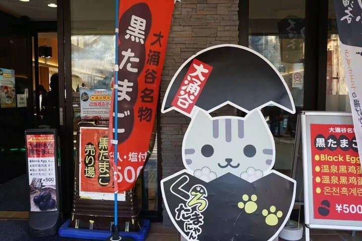 Lake Ashi Owakudani and Shrine Visit Mount Fuji Hakone Tour — photo 13