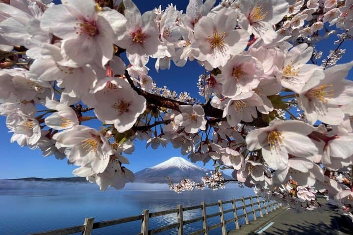 Private Fuji Tour: Lake Yamanakako, Gotemba Outlets & Onsen — photo 2