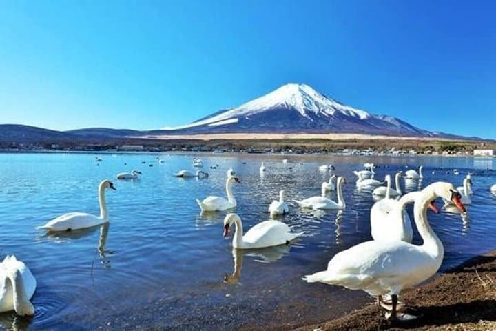 Private Fuji Tour: Lake Yamanakako, Gotemba Outlets & Onsen — photo 4