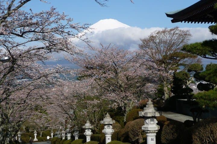 Private Fuji Tour: Lake Yamanakako, Gotemba Outlets & Onsen — photo 13