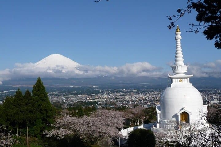 Private Fuji Tour: Lake Yamanakako, Gotemba Outlets & Onsen — photo 12