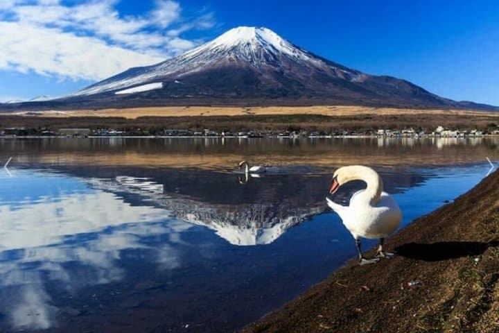 Private Fuji Tour: Lake Yamanakako, Gotemba Outlets & Onsen — photo 1