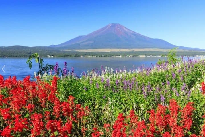 Private Fuji Tour: Lake Yamanakako, Gotemba Outlets & Onsen — photo 7