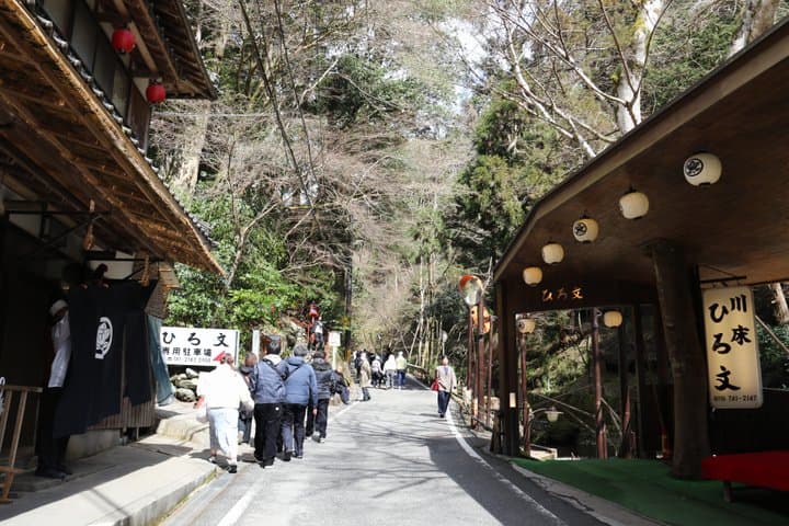 Kyoto Private Hiking Tour: Ancient Trails of Kurama and Kibune — photo 16