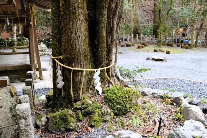 Kyoto Private Hiking Tour: Ancient Trails of Kurama and Kibune — photo 17