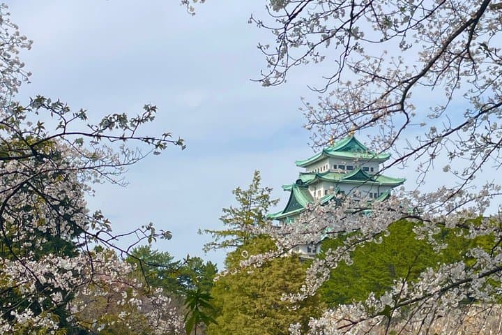 Private Nagoya Tour with a Nagoya Born Local Guide — photo 7