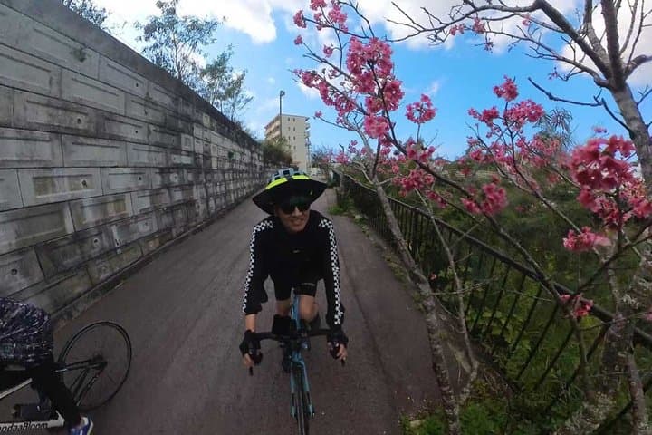 Hidden Paths to the Chinen and Nanjo Ruins — photo 10